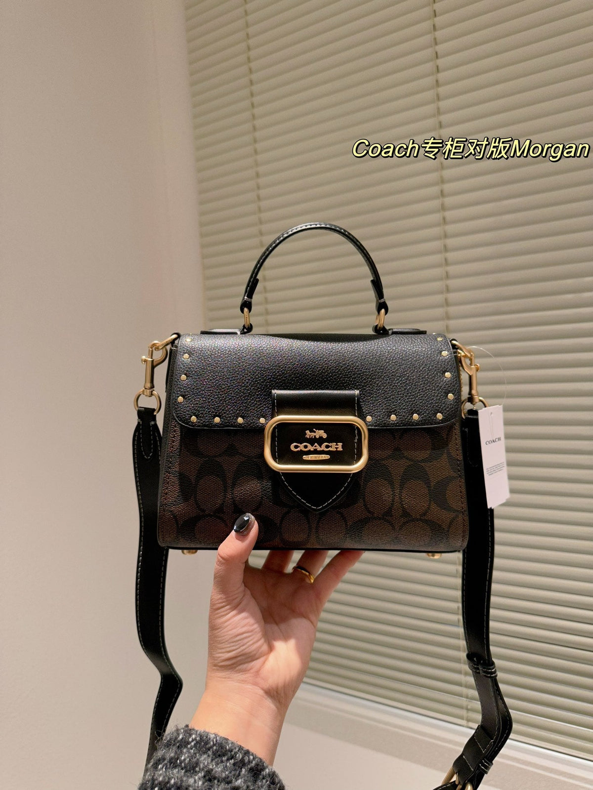 2023 coa handbag -132