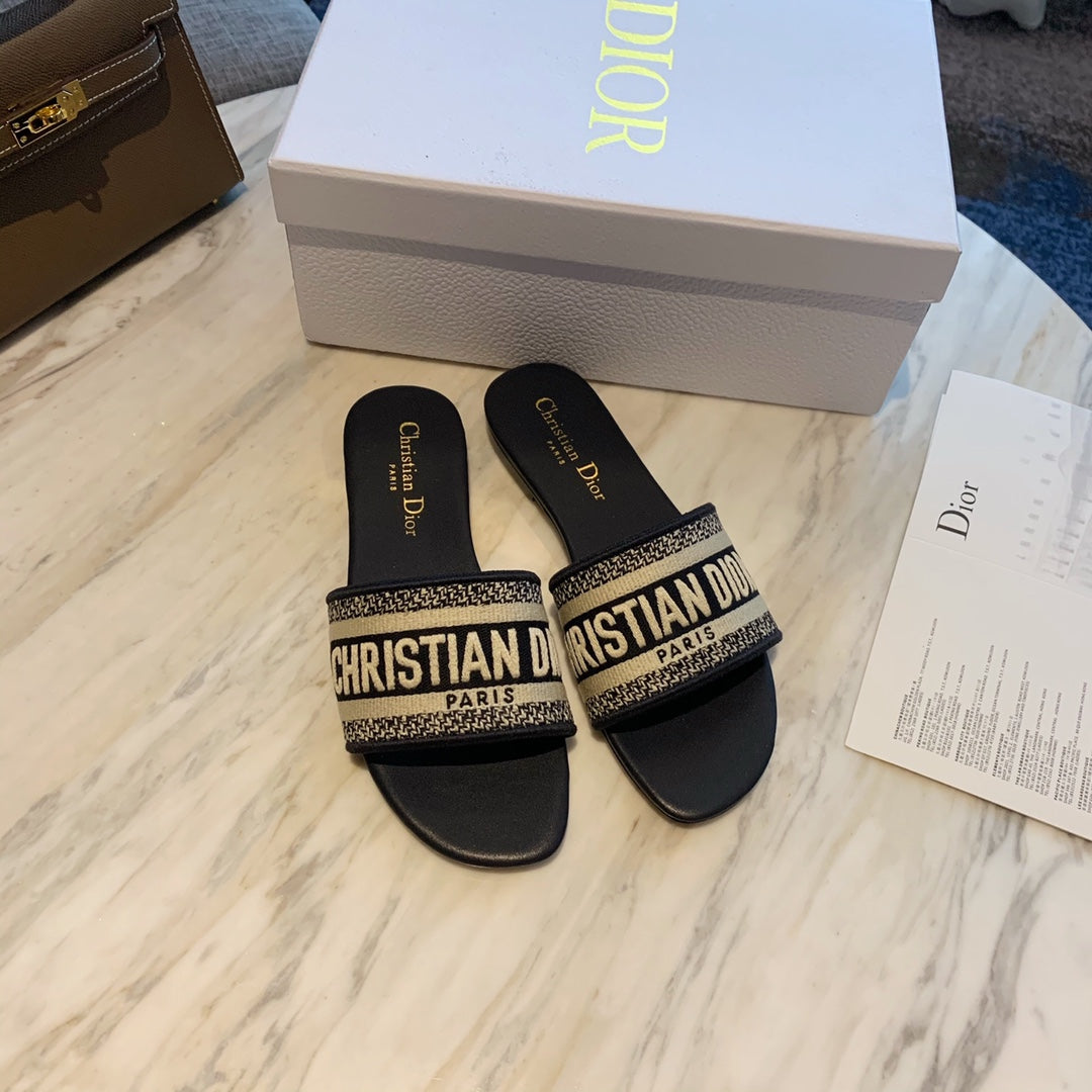 D I O R slides (2 Options)